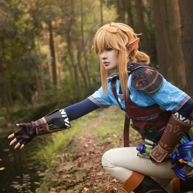 Game Zelda Breath of The Wild  - огляд і ціна Zelda Party Games